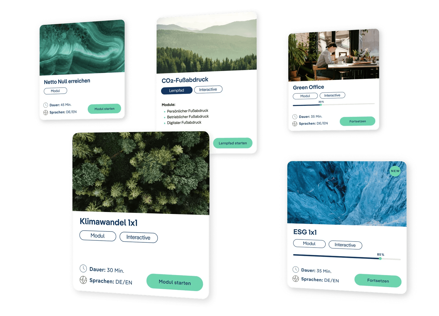 climate-learning hero